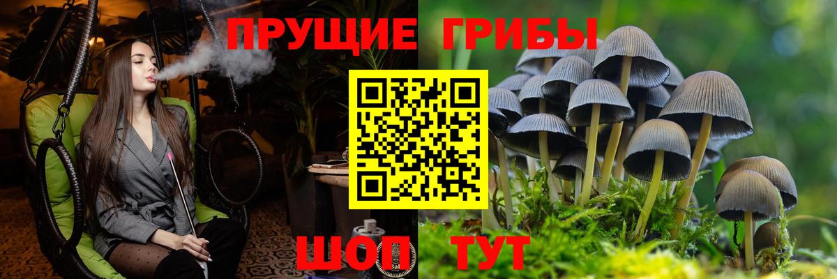 Галлюциногенные грибы ЛСД  Псилоцибиновые грибы Psilocybine cubensis  где можно купить   Вход с VPN  Камень-на-Оби 